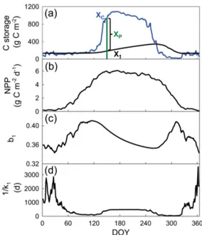 Figure 2a shows time courses of C storage and its capacity over 1 year for the leaf pool of Harvard Forest.