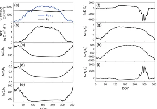 Figure 3. Seasonal cycles of the C storage capacity and C storage dynamics for the litter pool (i.e., pool 4 as shown in Fig