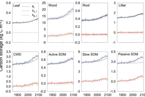 Figure 6. The C storage capacity (x c,i (t )), the C storage potential (x p,i (t )), and C storage (x i (t )) of individual pools