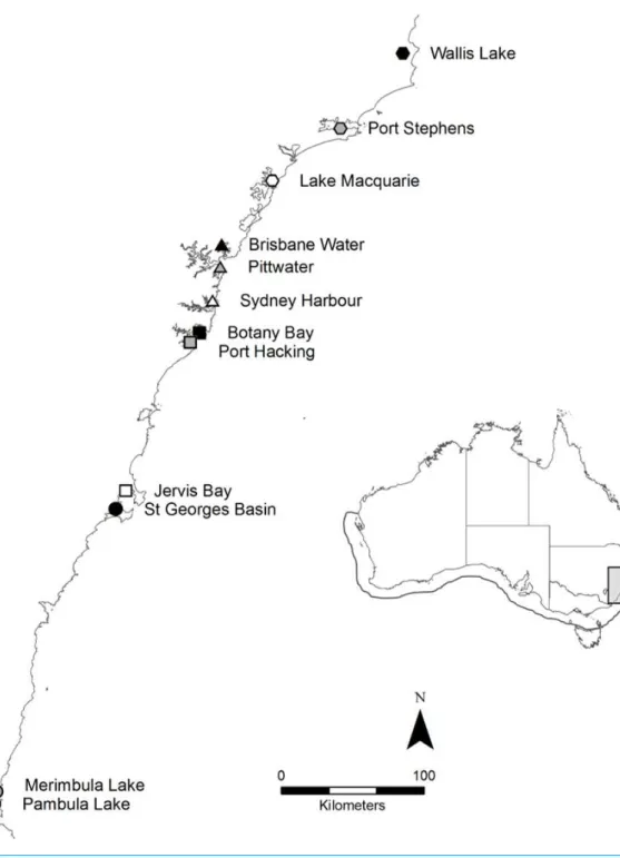 Figure 1 Map of the twelve sample locations in New South Wales, Australia. The full distribution of P