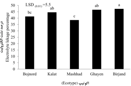 Fig .  2. Electrolytes leakage percentage in Lancelot Plantain ecotypes after applying freezing temperature.