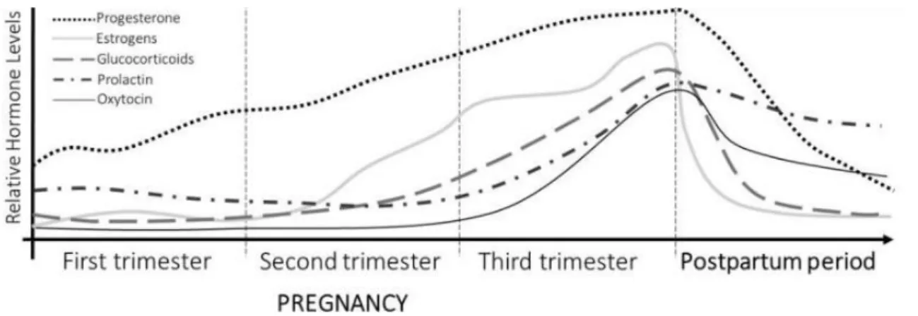 Figura 1. Flutuações hormonais na gravidez e no período pós-parto (21) ADAPTADO 