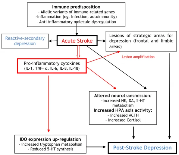 Figura  2.  Hipótese  do  mecanismo  das  citocinas  na  patogénese  da  depressão  pós-AVC