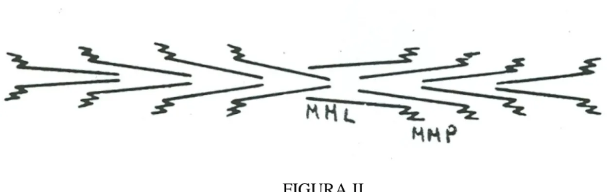 FIGURA II 