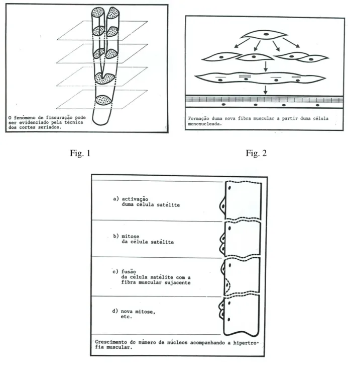 Fig. 1  Fig. 2 