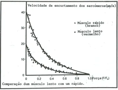 Fig. 7  DISCUSSÃO 
