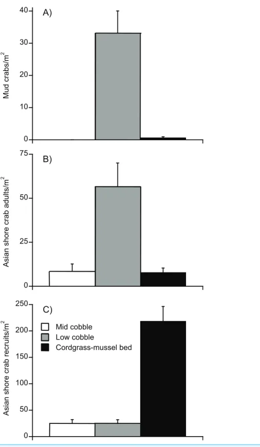 Figure 2 Distribution of crabs across intertidal landscape. (A) Mud crabs (with the exception of six individuals) were found exclusively in the low cobble zone (adults and recruits pooled together in figure)