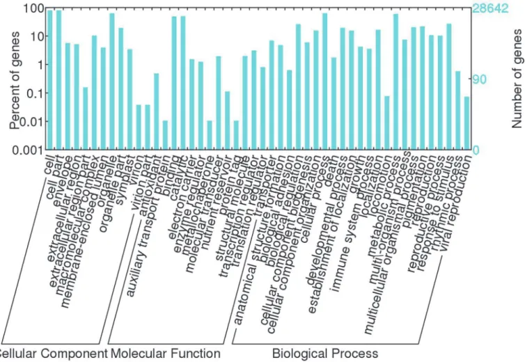 Fig 3. Gene Ontology (GO) categories of unigenes. Unigenes were annotated in three categories: cellular components, molecular functions, and biological processes.