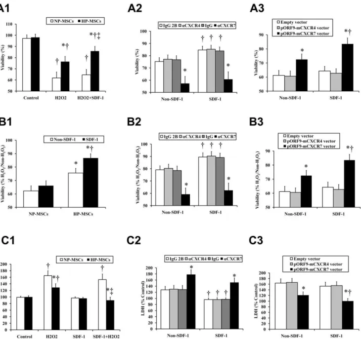 Figure 3. Effects of SDF-1-CXCR4/CXCR7 pathway on H 2 O 2 -induced cytotoxicity in MSCs
