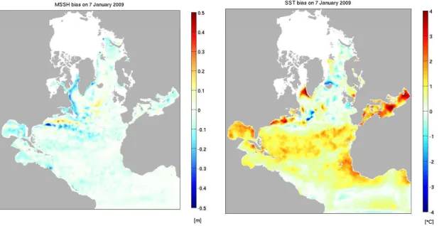 Fig. 8. Estimated MSSH and SST bias fields at the end of the reanalysis (after 10 month of estimation)