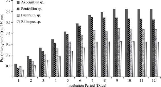 FIG. 1. DETERMINATION OF MAXIMUM PHOSPHATE SOLUBILIZING ACTIVITY BY FUNGAL ISOLATES AFTER 12 DAYS INCUBATION IN PVK BROTH, pH 7.2 AT ROOM TEMPERATURE, 430 NM