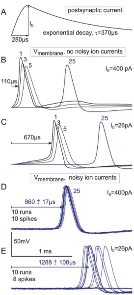 diagram summarizes results from Table 4, indicating the impact of axon diameters, soma size and myelin on the arrival time under the assumption d2 = 2*d1 (central axon has doubled diameter of the peripheral process)
