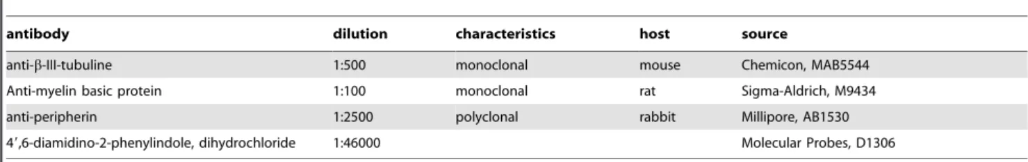 Table 1. Primary antibodies for immunohistochemistry.