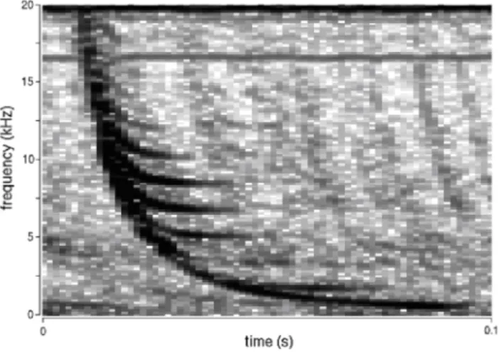 Fig. 1. Spiky whistler in DEMETER ICE burst mode VLF record- record-ing (orbit: 1242 up, sensor: E34, date: 25 September 2004, 21:30:33.2 UT, satellite position: 34.7 N; 5.0 E, altitude: 702.3, L: