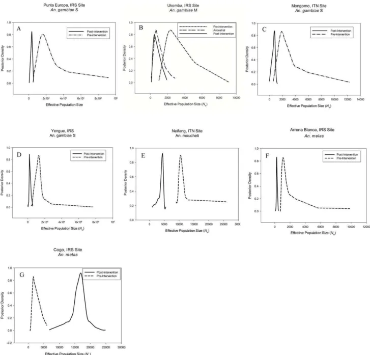 Figure 2. Density plots of effective population size estimates. Posterior density plots of estimated N e from ABC analysis for the seven study populations A) Punta Europa, B) Ukomba, C) Mongomo, D)Yengue, E) Niefang, F) Arena Blanca and G) Cogo