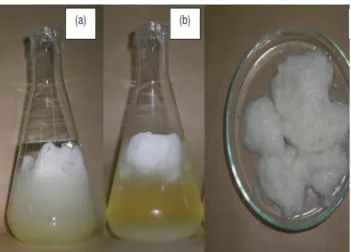 Figura 3 – Fluxograma de produção e recuperação da