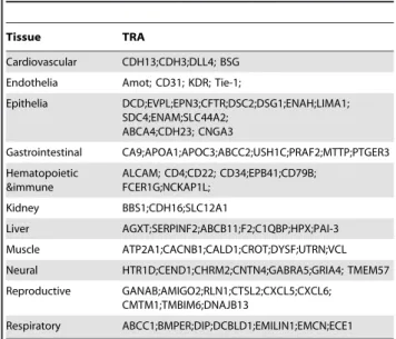 Figure 6. hES cells expressed tissue specific cell surface proteins. A. RT-PCR analysis demonstrated that hES cells expressed tissue specific cell surface proteins