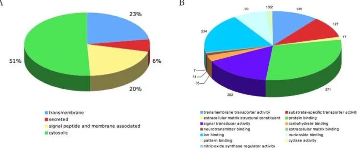 Figure 2. Proteomics analysis of mES cell surface proteins. A. Subcellular distribution of proteins identified in this study