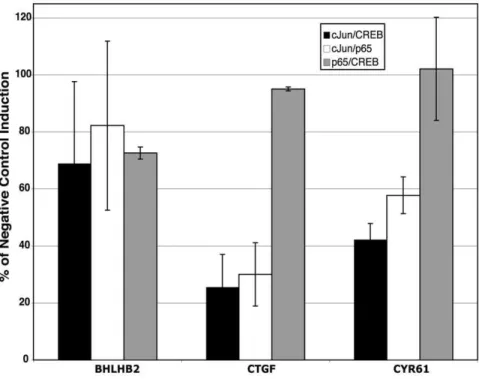 Figure 6. Effect of double siRNAs on gene induction by inhibition of GSK-3. Cells were rendered quiescent and transfected with the indicated combination of siRNAs