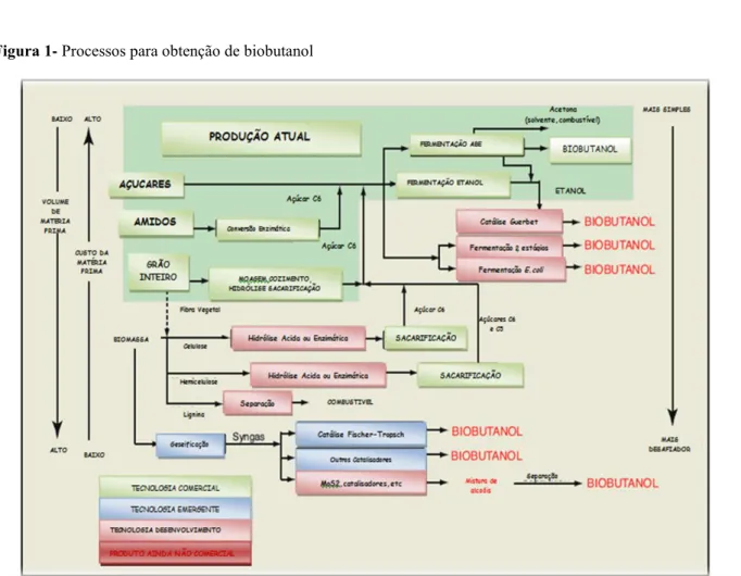 Figura 1- Processos para obtenção de biobutanol 
