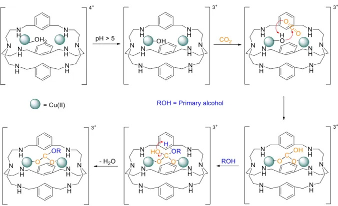 Figure 1.15 – Fixation and esterification of CO 2 , mechanism proposed for Cu(II) cryptate
