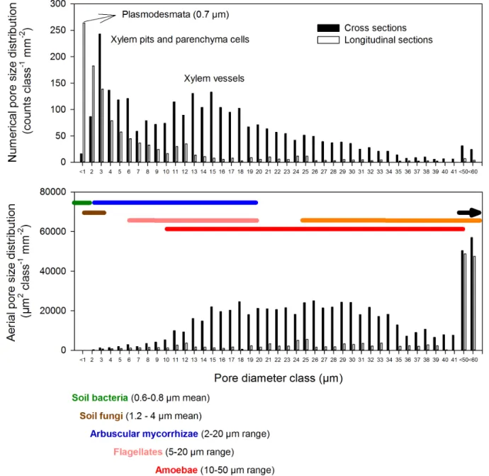 Figure 3), and both processes ranged between 1.5 and 2.1 mg N g 2 1 d 2 1 . In contrast, gross nitrification and gross nitrate immobilization were strongly enhanced by biochar application.