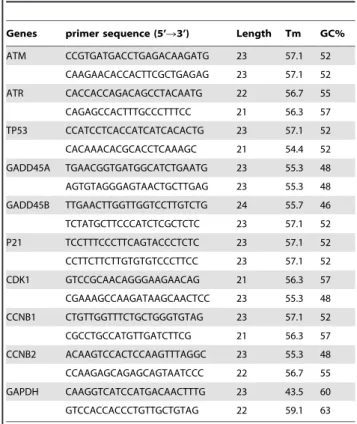 Table 1. Primers used in qPCR.
