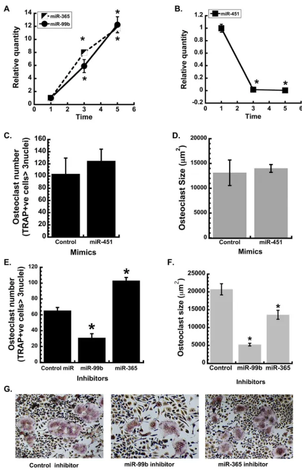 Figure 2. Validating the expression and function of candidate miRNAs from the microarray analysis