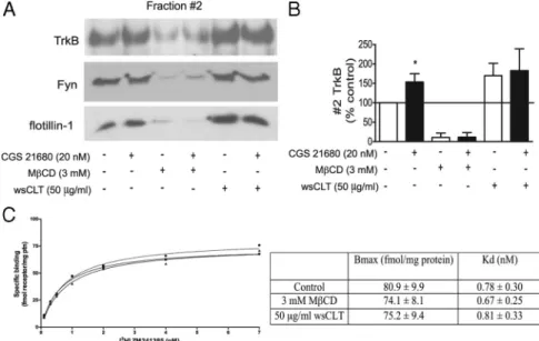 Figure 7. Effects of cholesterol depletion and loading on the partition of TrkB receptors to lipid rafts and on adenosine A 2A receptor binding properties