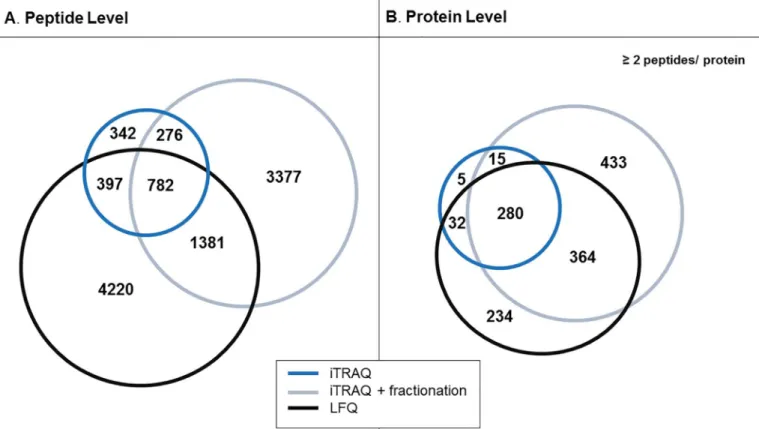 Fig 2. Comparison of peptide and protein identifications in iTRAQ and LFQ experiments