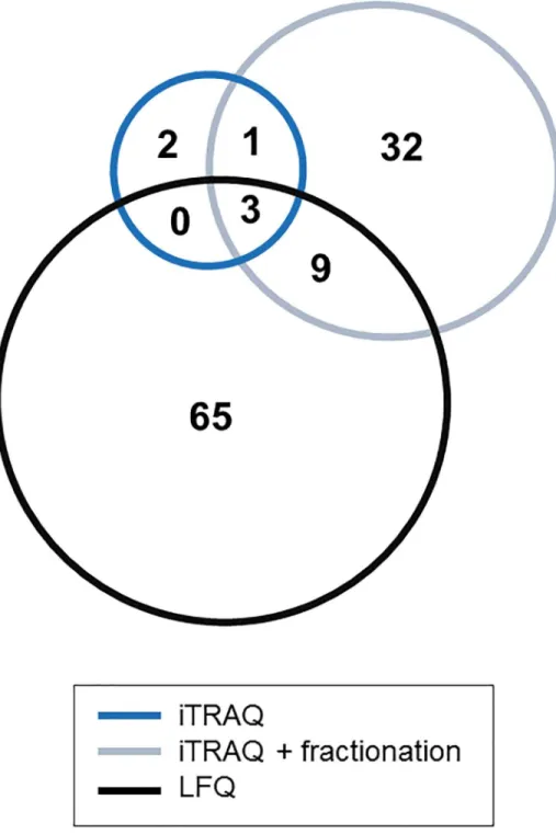 Fig 4. Comparison of differentially expressed proteins identified in both iTRAQ experiments and LFQ.