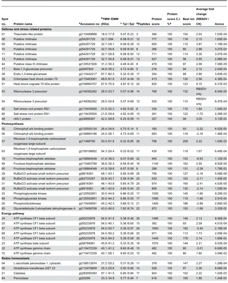 Table 1. The 69 differentially expressed proteins identified in rice under long-term RBSDV infection.