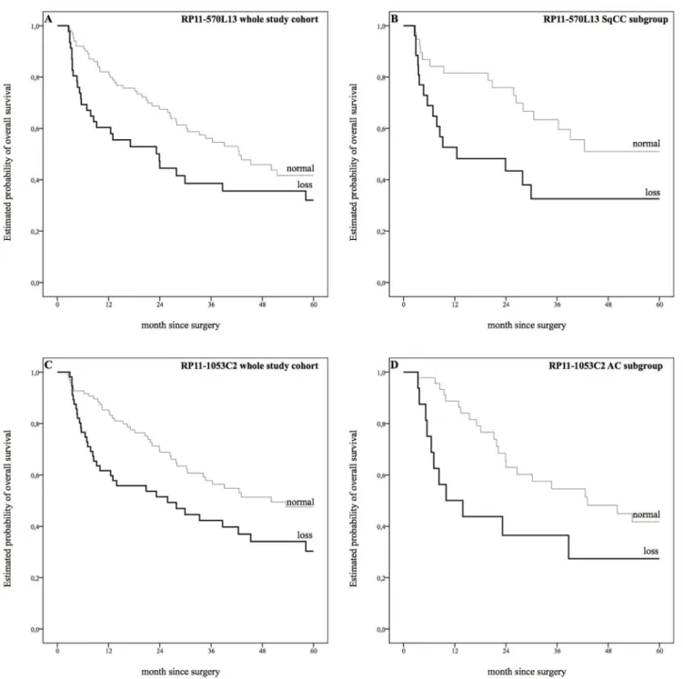 Fig. 2. Estimated probability of overall survival. A: Copy number loss at position 4q21.23 (RP11-570L13) revealed strong correlations with shorter median overall survival (OS) in univariate analysis (23.9 months versus 42.6 months), P 50.033
