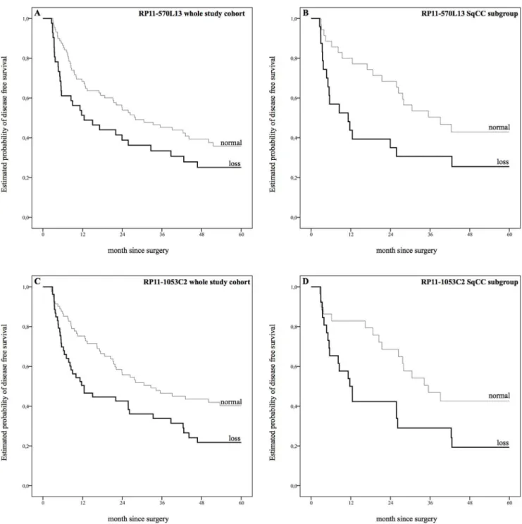 Fig. 1. Estimated probability of disease free survival. A: Copy number loss at position 4q21.23 (RP11-570L13) revealed a trend towards shorter median disease free survival (DFS) in univariate analysis (12.5 months versus 28.0 months, P 50.056)