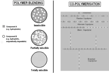 Fig. 5 - Strategies to control degradation rate of biodegradable polymers 