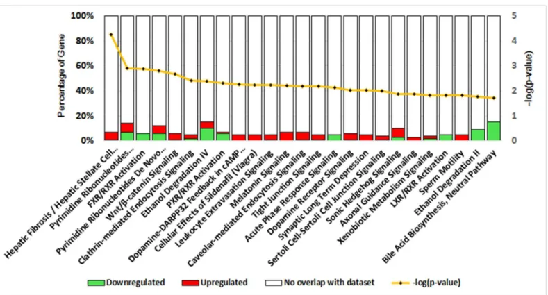 Fig 3. DEGs-associated canonical pathways as indicated by IPA. Canonical pathways were analyzed by IPA software using genes that were differentially expressed in PDH under the different culture conditions