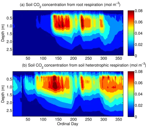 Fig. 10. Simulated seasonal cycle of soil CO 2 concentrations contributed from (a) autotrophic root respiration and (b) soil heterotrophic respiration.