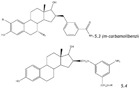Figure  1.9  –  Examples  of  C16-substituted  estrogens.  The  compounds  are  examples  of  hybrid  inhibitors