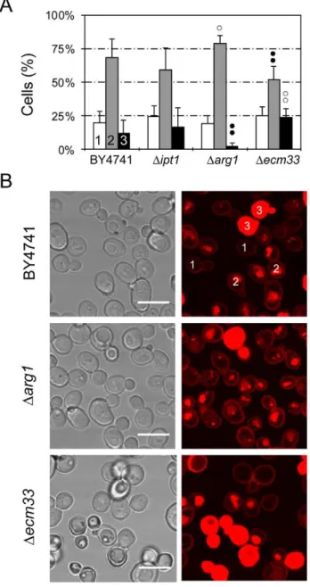 Figure 7. Differential localization of TMR-PAF26 in different S.