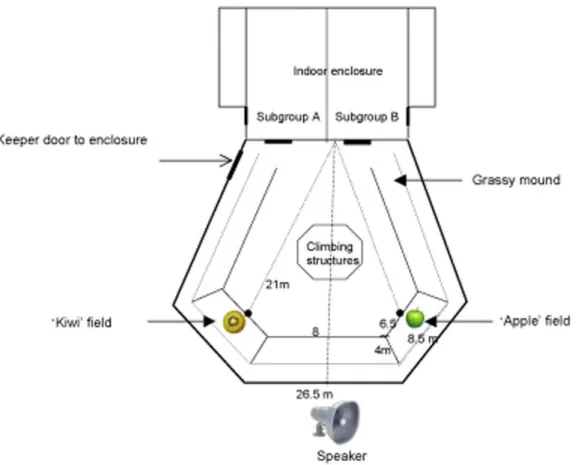 Figure 1. Schematic layout of the bonobo facility at Twycross Zoo, including location of playback equipment and artificial food sites.