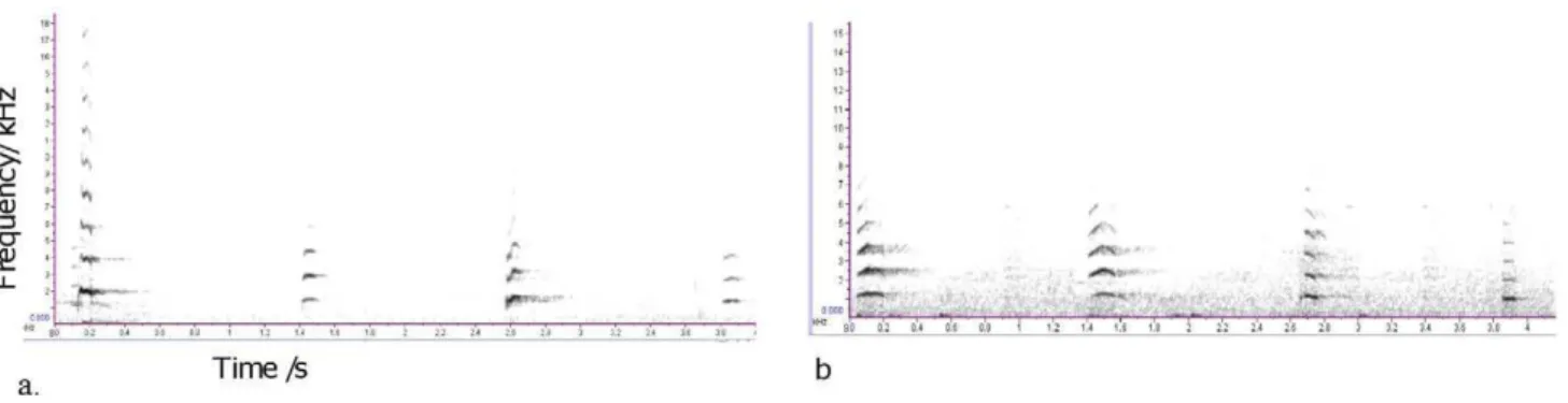 Figure S1 Images depicting (a) the playback speaker positioned during the experimental phase, (b) the view of the sloped outdoor enclosure from the bonobo exit door.