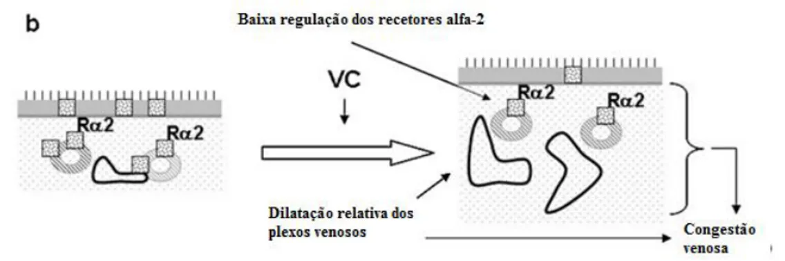 Figura 5 – Representação do “efeito rebound” causado por um mecanismo de feedback negativo