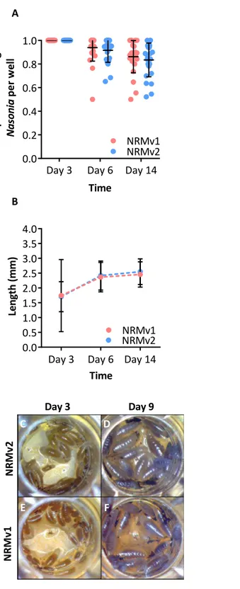 Figure 2 Comparison of Nasonia germ-free larval development on NRMv1 and NRMv2. (A) The number of living Nasonia vitripennis in transwells on days 3, 6, and 14