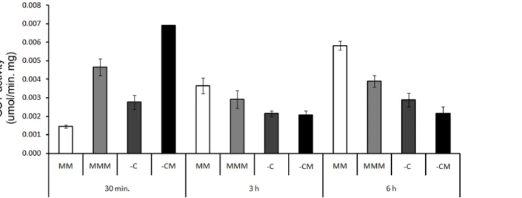 Figure 8. GST activity of E. coli DH5- a in MM, and in the MMM, -C, and -CM treatments, at periods of 30 min
