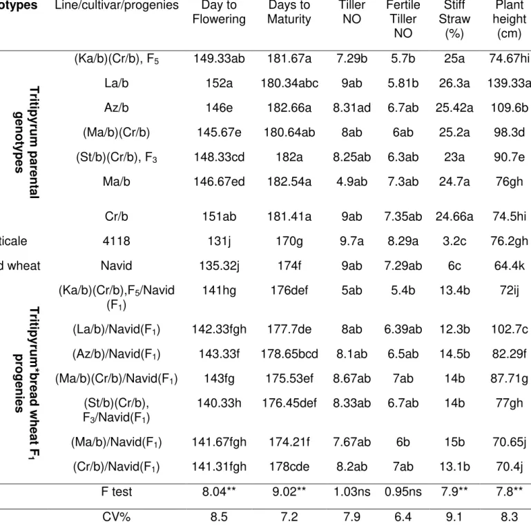 Table  2. Morphological diversity and stiff straw(%) of Tritipyrum derived 