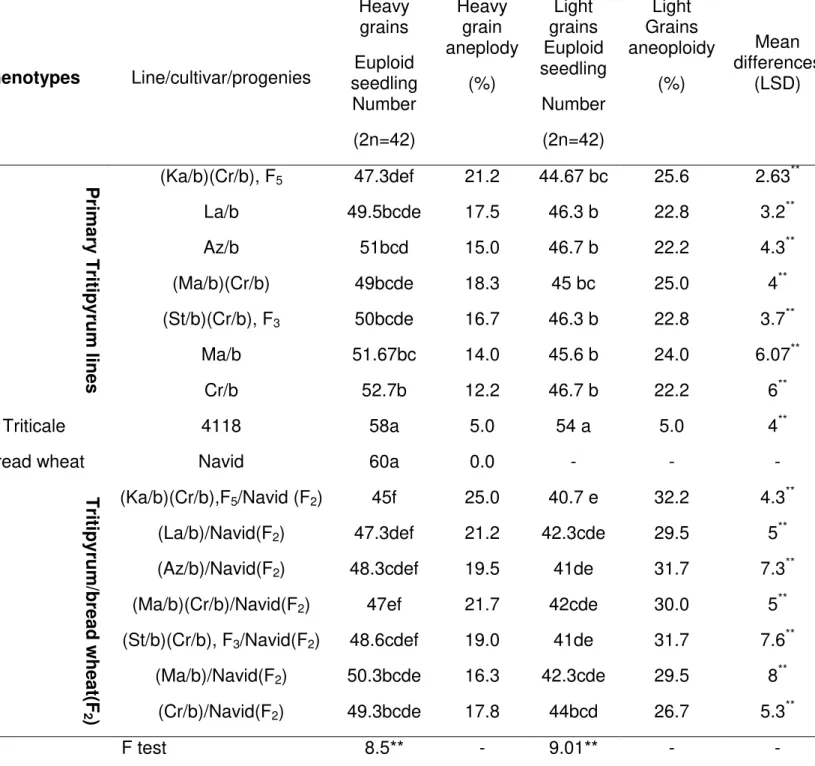 Table  3.  Mean  comparison  between  euploid  plants  in  light  grain  and  heavy  grain  genotypes(60 seedlings per replication).