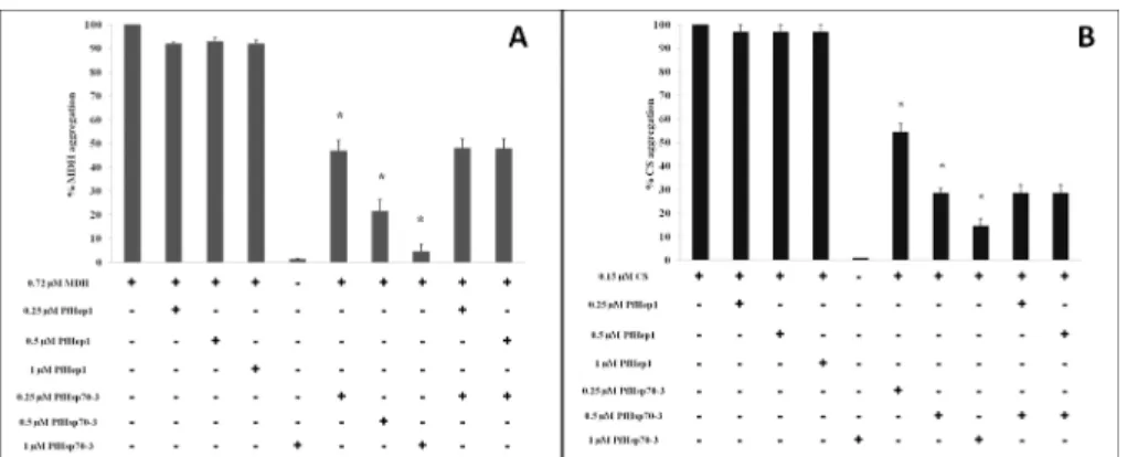 Fig 5. PfHep1 did not prevent the aggregation of MDH or citrate synthase. (A) MDH aggregation suppression assays were initiated by the addition of 0.72 μM MDH to assay buffer at 45°C for 30 min and monitored by light scattering at 360 nm