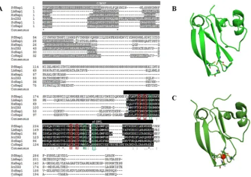 Fig 1. Primary structure analysis and homology model of the zinc binding domain (zf-DNL) of PfHep1.