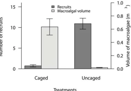 Fig 1. Average volume of macroalgae and number of coral recruits on settlement tiles in the caged and uncaged treatments in the larval settlement experiment.