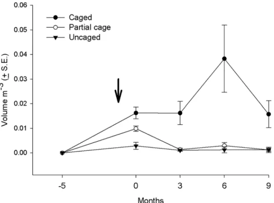 Fig 2. Average volume of macroalgae in the different treatments (uncaged, partially caged and caged) in the post settlement experiment over a 14 month period